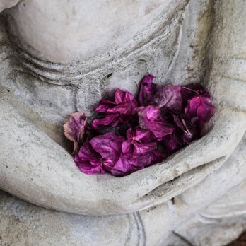 Malibu Reiki - Reiki Near Me Malibu Reiki - Reiki Near Me
