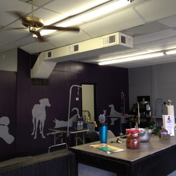 Bark Avenue Pet Grooming - The open facility - Pet Groomers Near Me - Saint Louis, Missouri