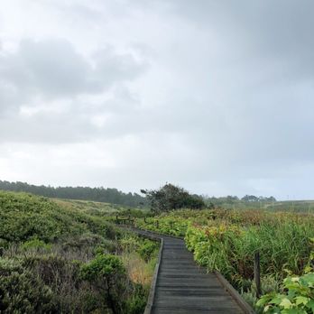 San Simeon State Park & Campground - Boardwalk leading to the beach! - Parks Near Me - Cambria, California San Simeon State Park & Campground - Boardwalk leading to the beach! - Parks Near Me - Cambria, California