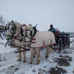 Yakima Valley Carriage Company