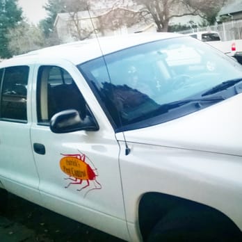 Patrick's Pest Control - Pest Control Near Me Patrick's Pest Control - Pest Control Near Me