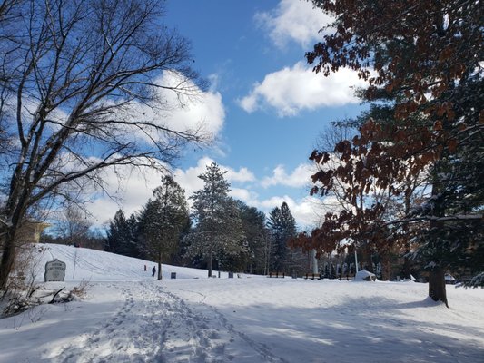 Benson Park by null