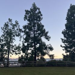 Imperial Park