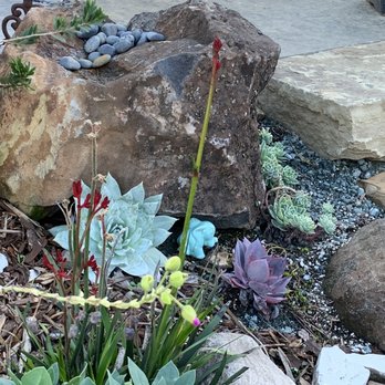 Kestrel Landscapes - Planting - Landscaping Near Me