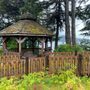 Photo of Whale Park
