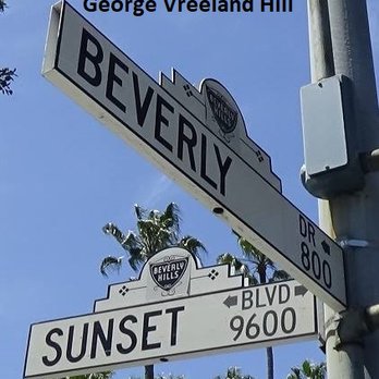 Sunset Boulevard - Sunset Boulevard in Beverly Hills. Photo by, George Vreeland Hill - Local Flavor Near Me - Los Angeles, California