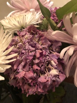 Flower Outlet & Gifts by null