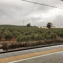 Antequera-Santa Ana Estacion - View from platform 7