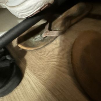 Waterstone Apartments - More mold growth on our shoes - Apartments Near Me - Tracy, California