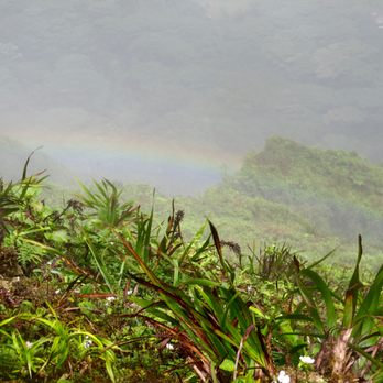 Kulepeamoa Ridge Hike - Rainbow - Hiking Near Me - Honolulu, Hawaii Kulepeamoa Ridge Hike - Rainbow - Hiking Near Me - Honolulu, Hawaii