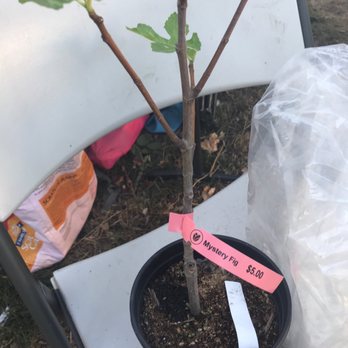 One Green World - Nurseries & Gardening Near Me - Portland, Oregon