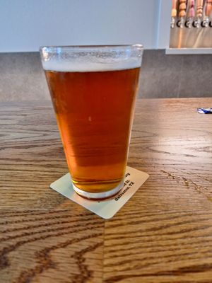 NAKED IGUANA BREWERY - Updated July 2025 - 104 Photos & 37 Reviews