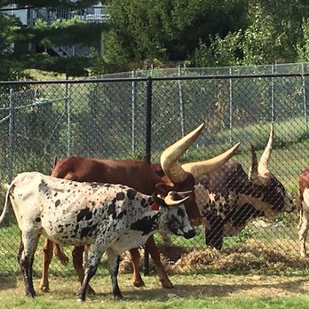 Nova Wild - Petting Zoos Near Me - Vienna, Virginia