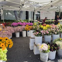Melrose Place Farmer's Market