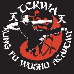 Chinese Kung Fu Wushu Academy