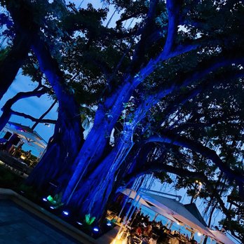The Beach Bar - Bars Near Me - Honolulu, Hawaii