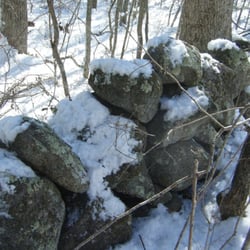 Great Swamp Management Area
