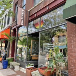 Cultivate Urban Rainforest & Gallery