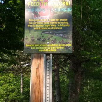 Glen Park - Don't feed the duckies - Parks Near Me - Williamsville, New York Glen Park - Don't feed the duckies - Parks Near Me - Williamsville, New York