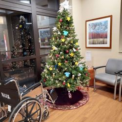 Dukes Memorial Hospital - Christmas tree near Emergency entrance