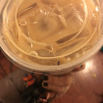 McDonald's - Fruit fly iced coffee - Fast Food Near Me - South Riding, Virginia McDonald's - Fruit fly iced coffee - Fast Food Near Me - South Riding, Virginia