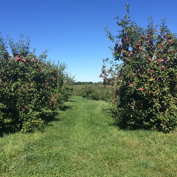 Wright's Farm - Fruits & Veggies Near Me - Gardiner, New York Wright's Farm - Fruits & Veggies Near Me - Gardiner, New York