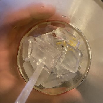 Pizza Bella Italian Bistro - Fruit fly in my water :( - Pizza Near Me - San Diego, California Pizza Bella Italian Bistro - Fruit fly in my water :( - Pizza Near Me - San Diego, California