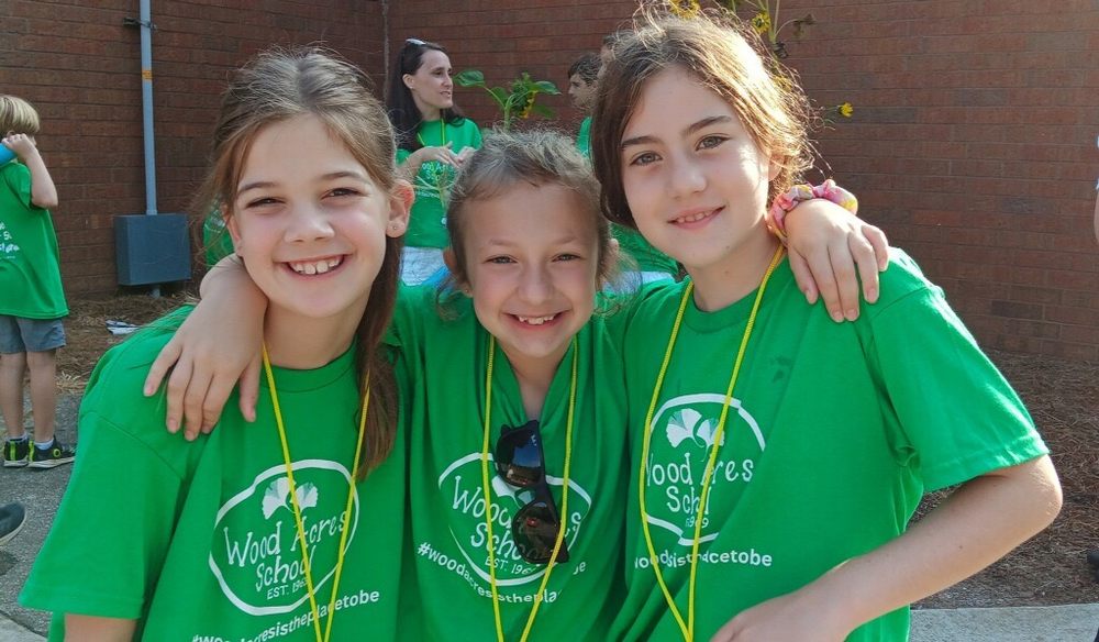 WOOD ACRES SCHOOL Updated September 2024 16 Photos 1772 Johnson