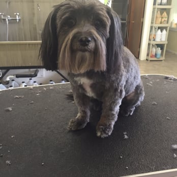 Pooch Parlor - Pet Groomers Near Me - Oldtown, Idaho