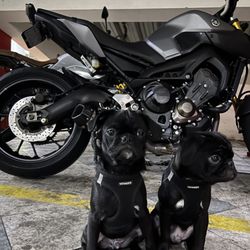 Moto Parts 4 Less