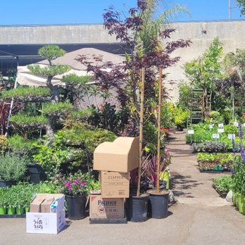 Evergreen Nursery - Nurseries & Gardening Near Me - Garden Grove, California