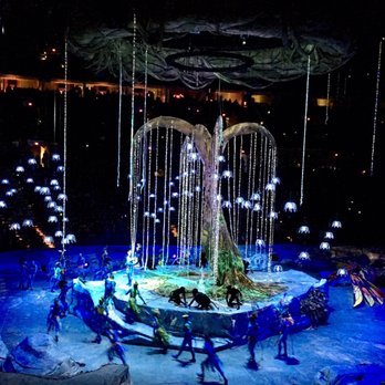Moda Center - Cirque du Soleil Torūk - Stadiums & Arenas Near Me - Portland, Oregon
