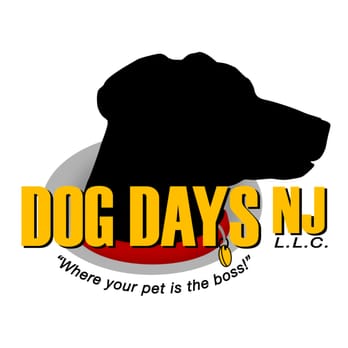 Dog Days NJ - Pet Services Near Me - Hazlet, New Jersey Dog Days NJ - Pet Services Near Me - Hazlet, New Jersey