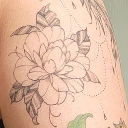 Flower by Lo Flower by Lo
