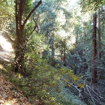 Joaquin Miller Park - Parks Near Me - Oakland, California