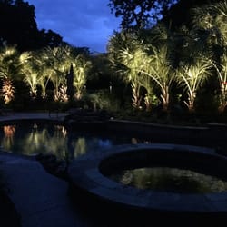 Expert Lighting - Some palm trees that were lit up for a customer