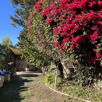 Red Planet Tree And Landscape Services - After - Landscaping Near Me Red Planet Tree And Landscape Services - After - Landscaping Near Me