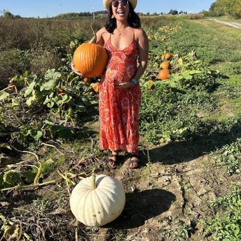 Rulfs Orchard - Fruits & Veggies Near Me - Peru, New York Rulfs Orchard - Fruits & Veggies Near Me - Peru, New York