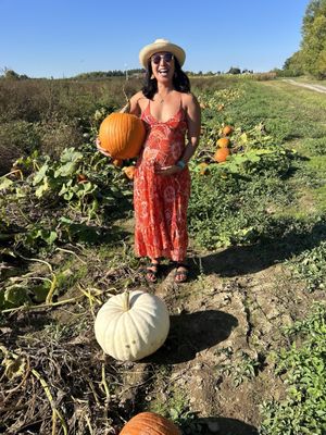 Rulfs Orchard by null