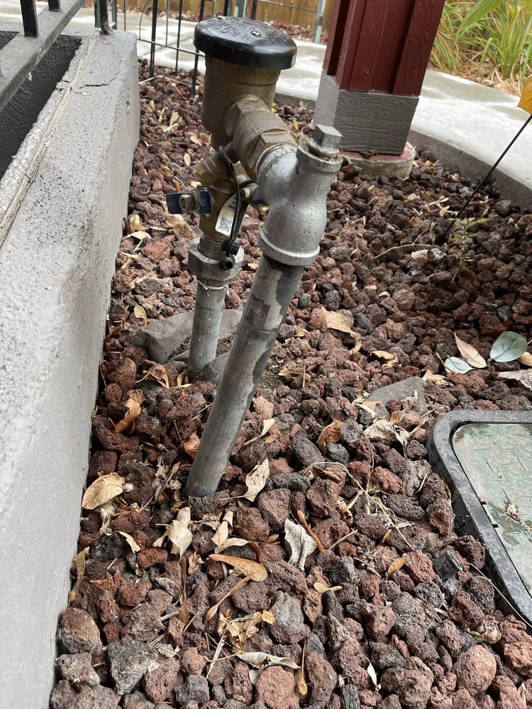 D's Lucky Lawn Care - tree service in Boise, ID