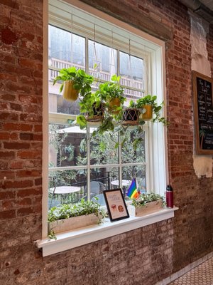 The Rise Coffee Bar by null