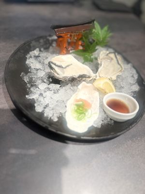 Yakigaki No Hayashi by null