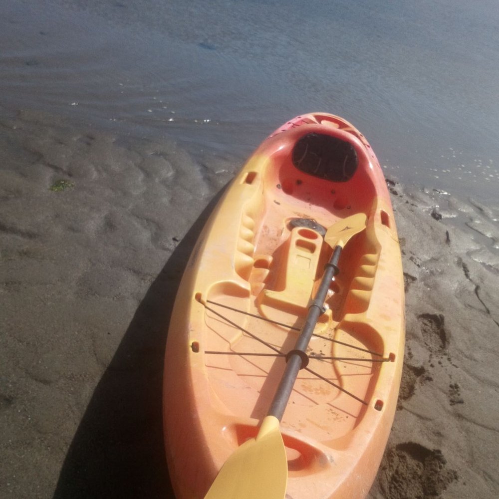 WaterTreks - Rafting/Kayaking Near Me - Jenner, California