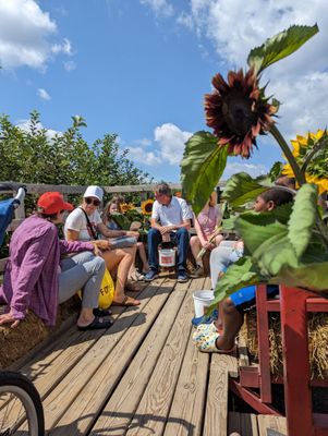Spicer Orchards Farm Market, Cider Mill, Fudge, Bakery by null