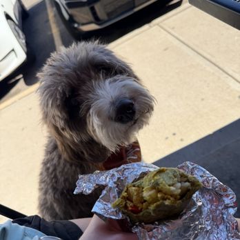 Atlas Coffee - Patio seating available for dogs - Coffee & Tea Near Me - Littleton, Colorado