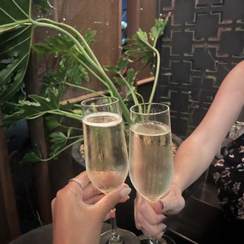 Uchiko Austin - Complimentary champagne - Sushi Bars Near Me - Austin, Texas Uchiko Austin - Complimentary champagne - Sushi Bars Near Me - Austin, Texas