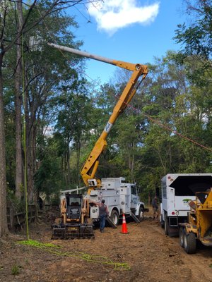 Your Expert Tree & Landscaping Solutions - Transforming outdoor spaces with expert tree care and custom landscaping services. From professional tree trimming and removal to creative garden design, we deliver safe, reliable, and beautiful results for homes and businesses. Explore our portfolio to see how we bring your vision to life—one yard at a time.
