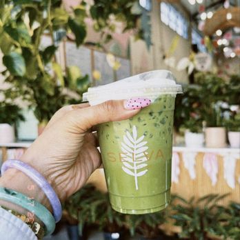 Selva Coffee House - Guava matcha with guava cold foam - Coffee Roasteries Near Me - San Diego, California Selva Coffee House - Guava matcha with guava cold foam - Coffee Roasteries Near Me - San Diego, California
