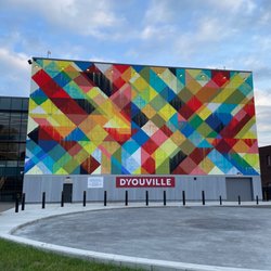 Public Art - D’Youville Maya Hayuk Mural