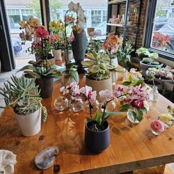Inside of store